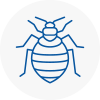 Bed Bug Extermination In Abingdon On Thames