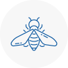 Bee Nest Removal Abingdon On Thames