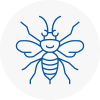 Abingdon On Thames Hornet Nest Removals