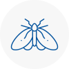 Moth Control Specialists In Abingdon On Thames