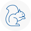 Abingdon On Thames Rodent Removals