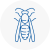 Abingdon On Thames Wasp Nest Removal